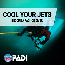 Ice Diver Course